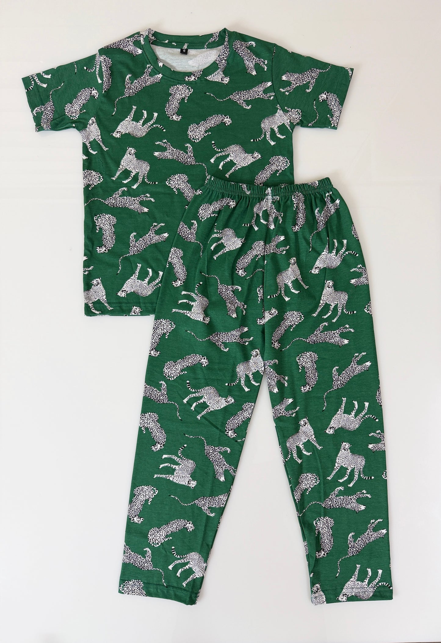 Green Leopard Print T-Shirt and Pant Co-ords