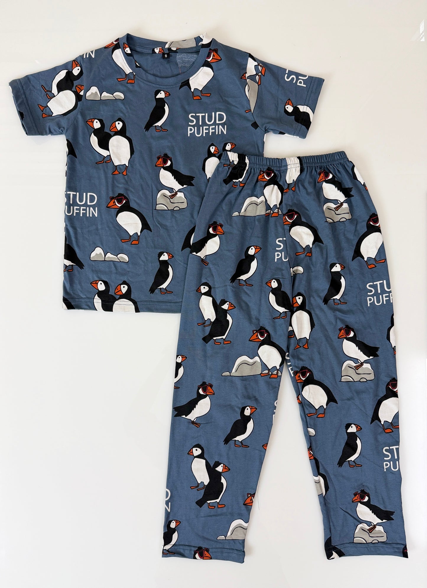 Blue Puffin Print T-Shirt and Pant Co-ords