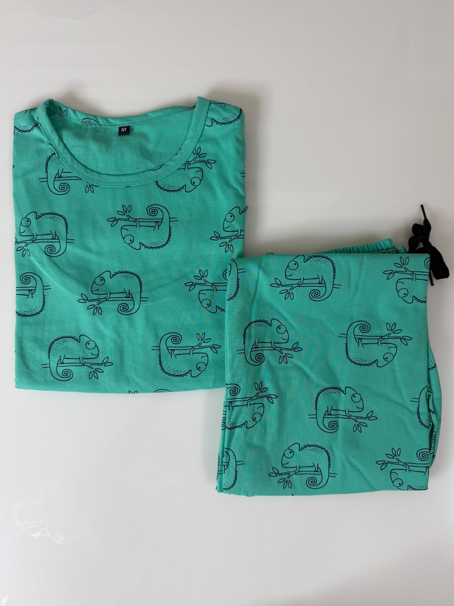 Sea Green Chameleon Printed Feeding T-shirt And Pants