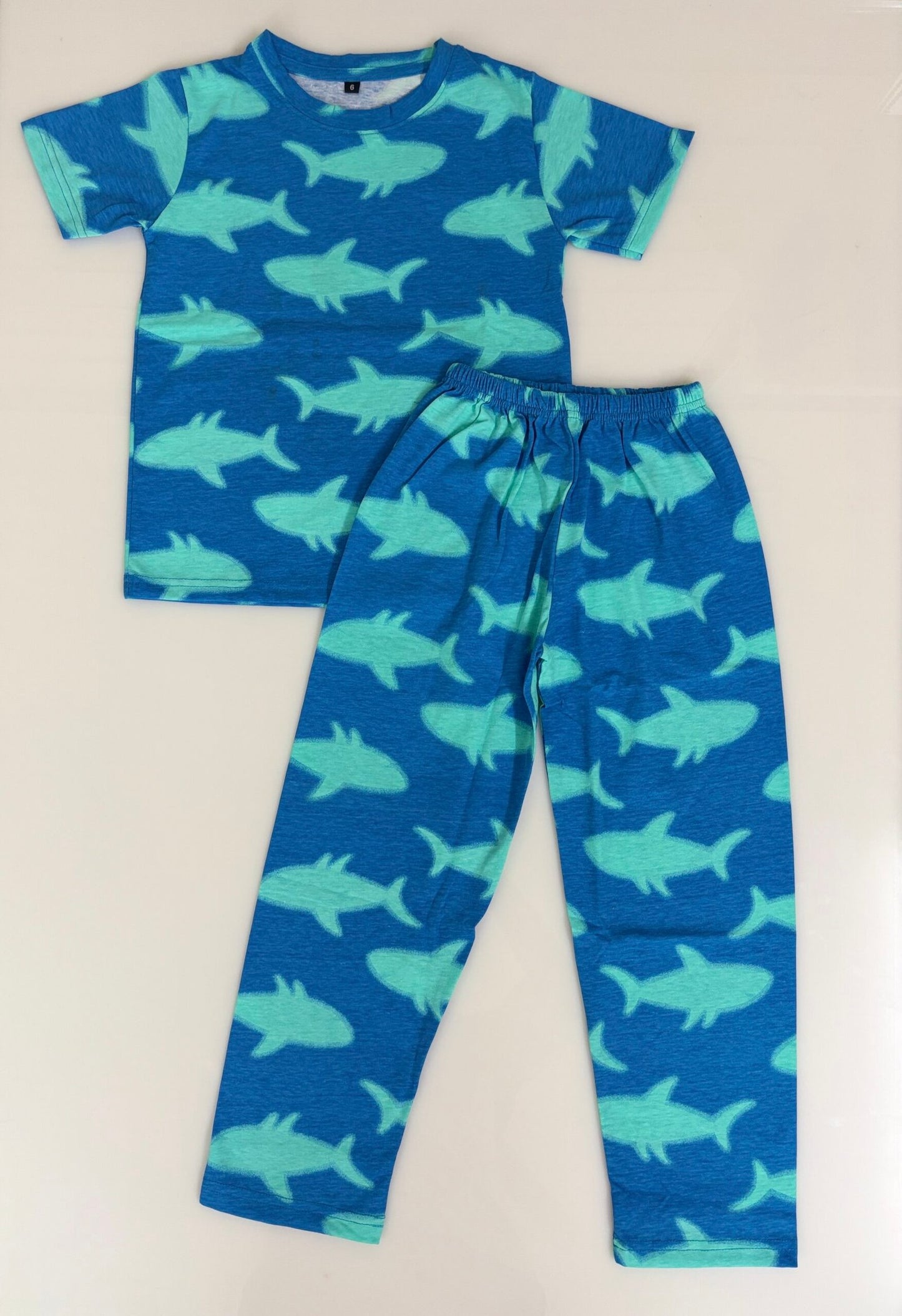 Blue with Green Dolphins Printed T-Shirt and Pant Co-ords