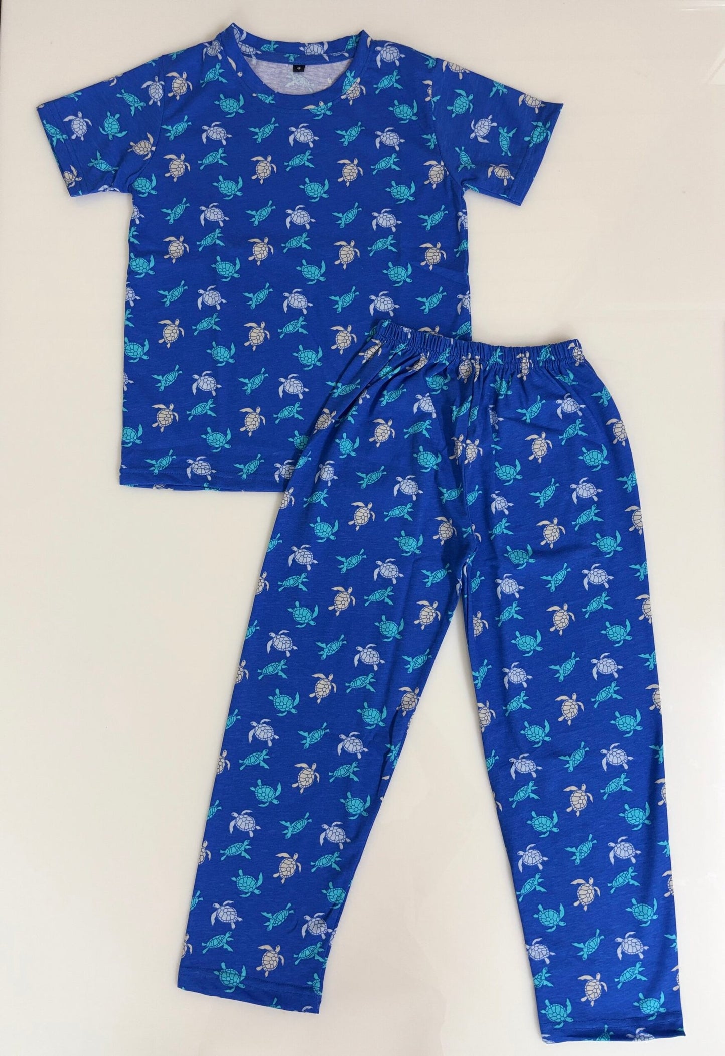 Blue Tortoise Printed T-Shirt and Pant Co-ords