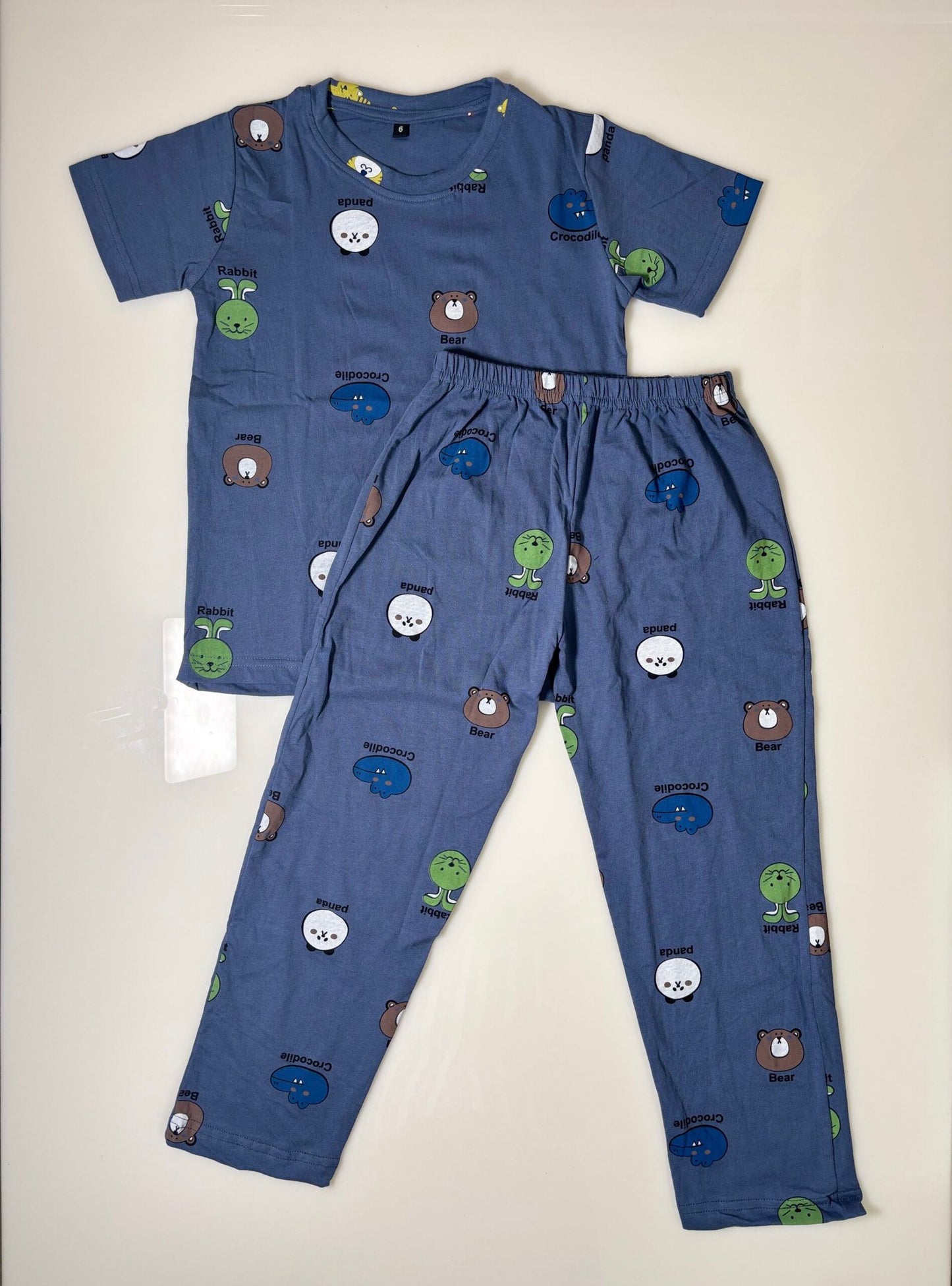 Blue Rabbit & Panda Printed T-Shirt and Pant Co-ords