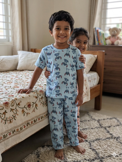 Sky Blue Stitch Printed T-Shirt and Pant Co-ords
