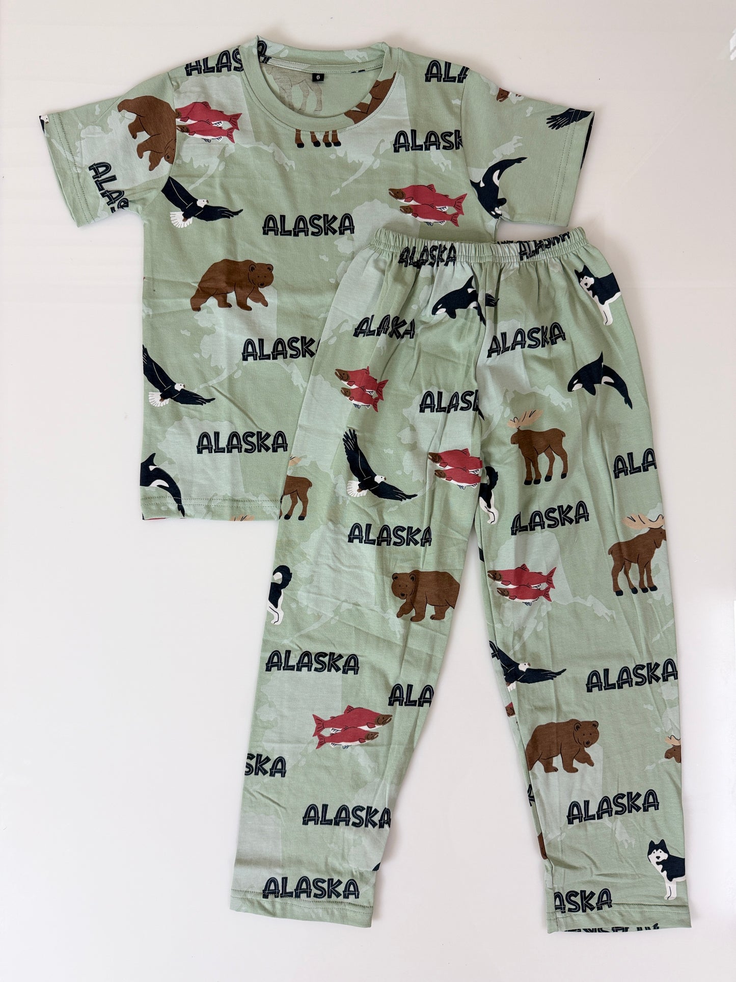Mint Alaska Animal Print T-Shirt and Pant Co-ords