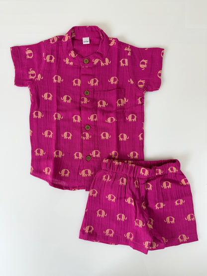 Pink Elephant Kids Outdoor Shirt & Shorts Coords