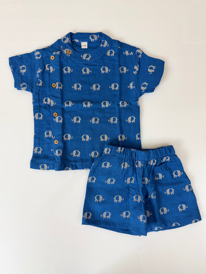 Blue Elephant Kids Outdoor Shirt & Shorts Coords