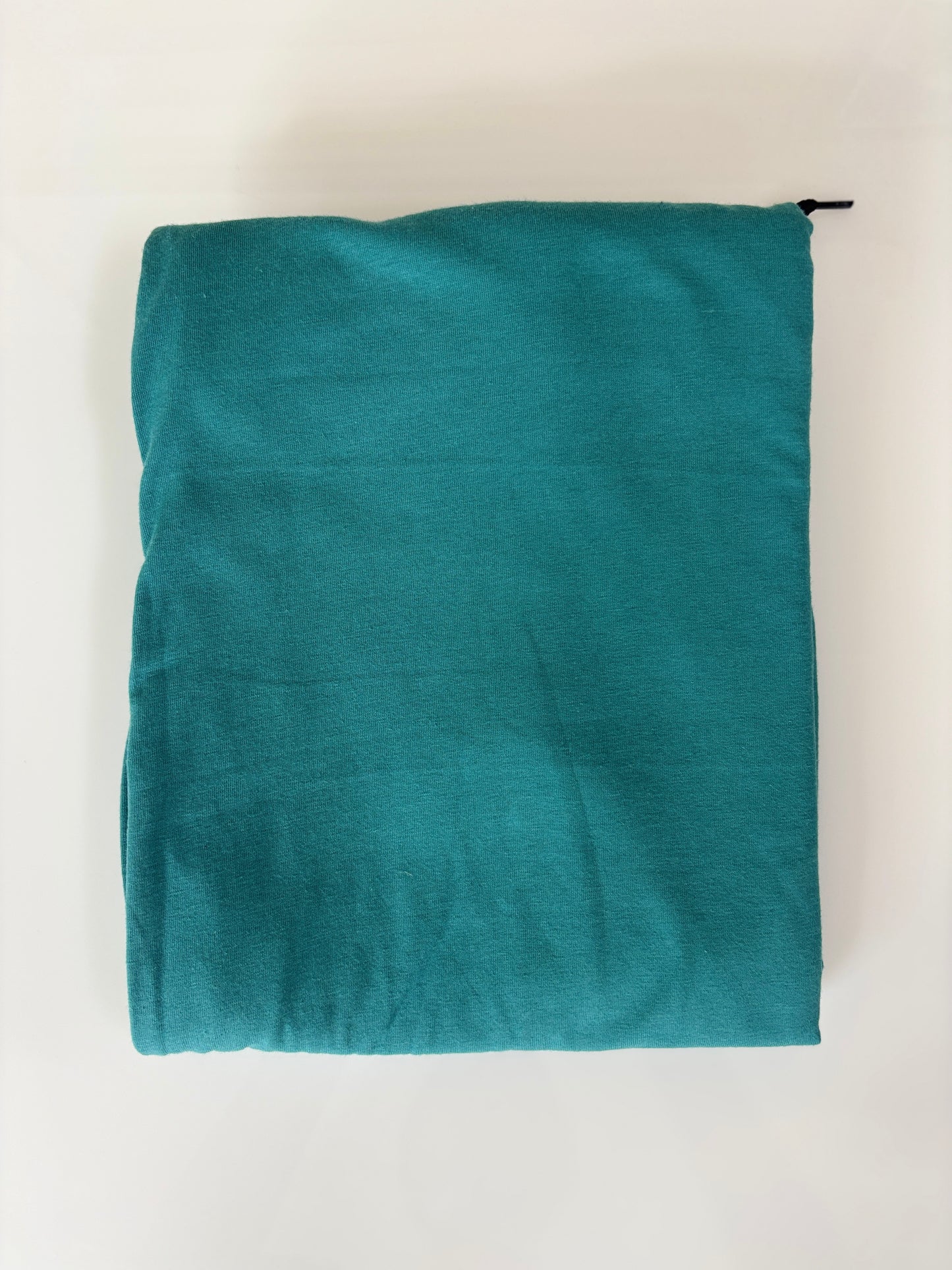 Teal Green Solid Palazzo