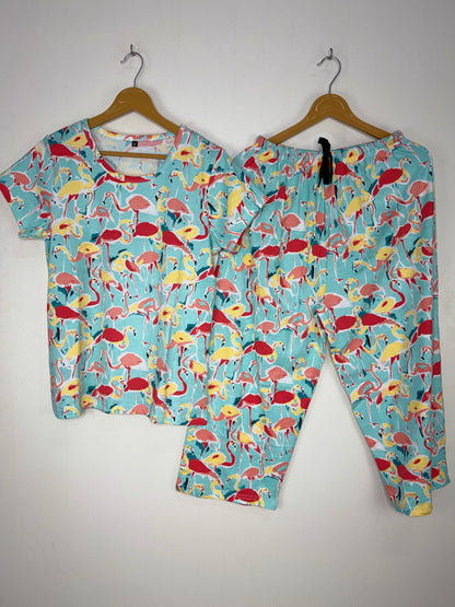 Aqua Flamingo Print T-Shirt and 3/4th Coords