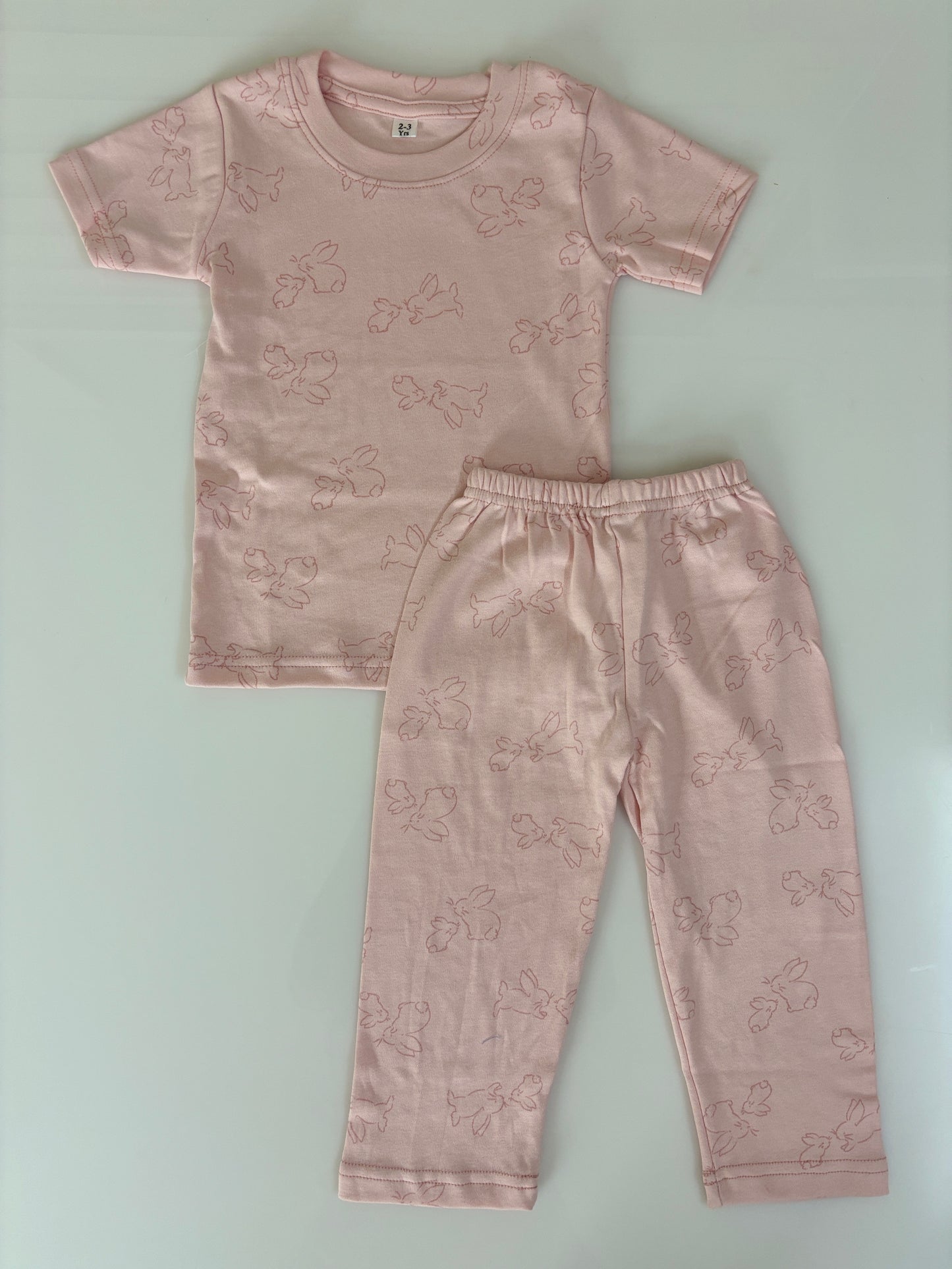Baby Pink Bunny Printed Kids T-Shirt & Pant Co-Ord Set