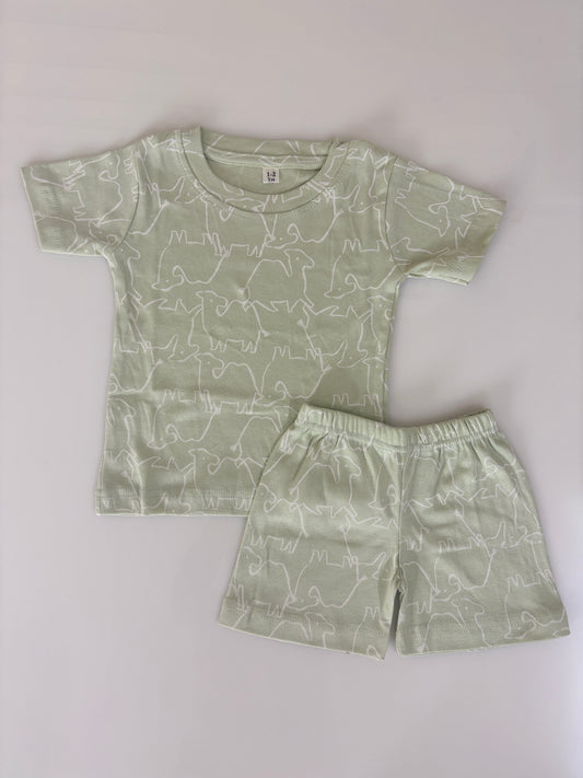 Dino Trails Kids Shorts Co-ord Set