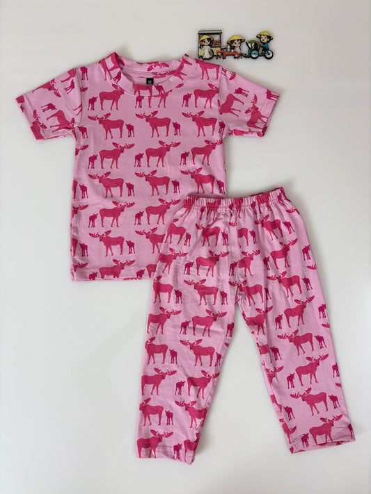 Pink With Animal Printed T-Shirt and Pant Co-ords