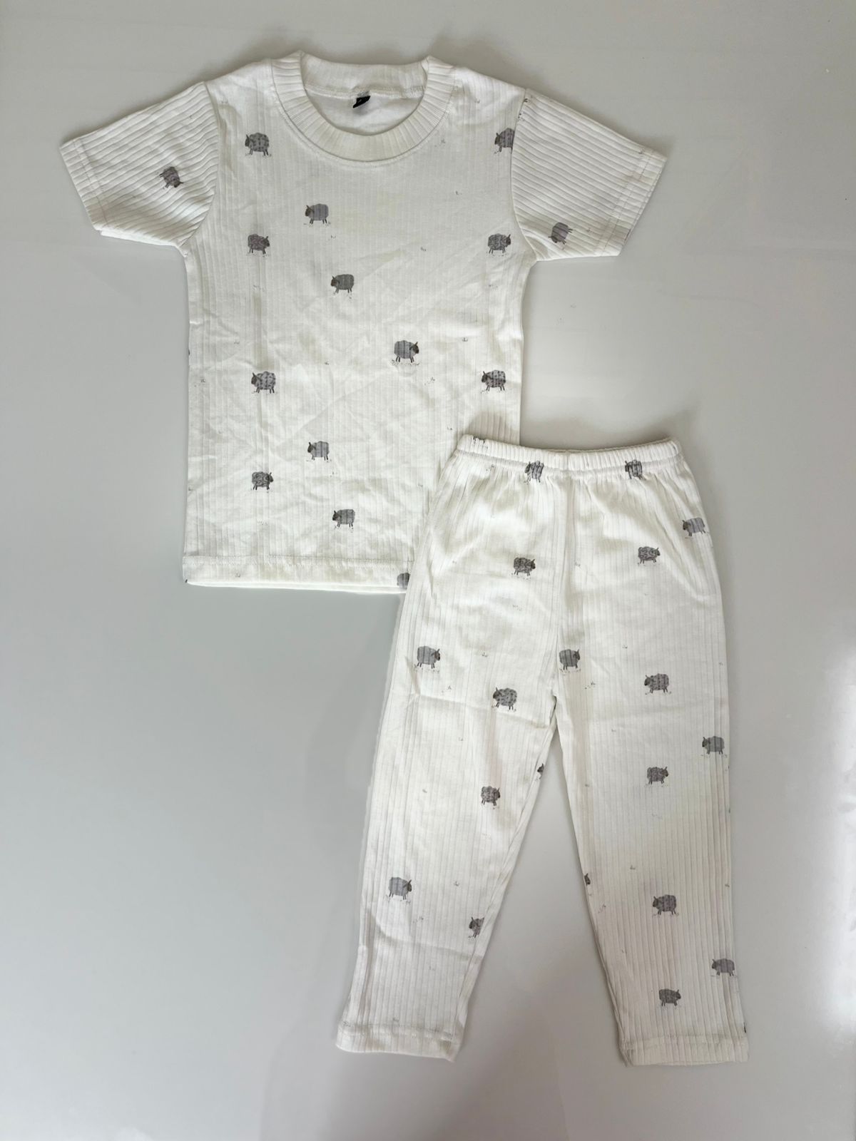 White Sheep Printed T-Shirt and Pant Co-ords