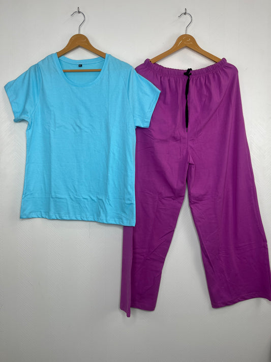 Sky Blue Solid Print Women’s T-shirt and Palazzo