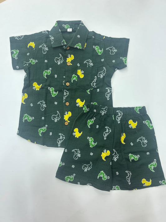 Kids Dinosaur Printed Co-Ord Set