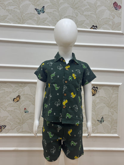 Kids Dinosaur Printed Co-Ord Set