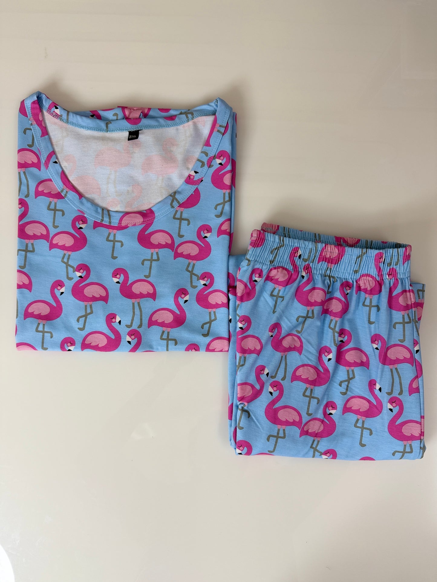 Sky Blue Flamingo Printed T-Shirt and Palazzo Set
