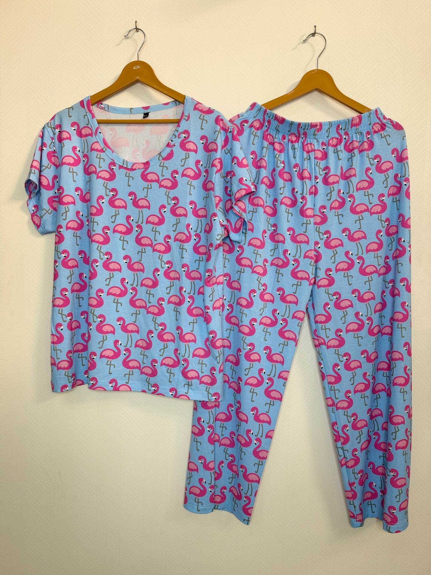 Sky Blue Flamingo Printed T-Shirt and Palazzo Set