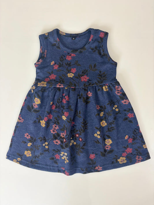 Dark Blue Sleeveless Frocks with Colorfull flowers Design