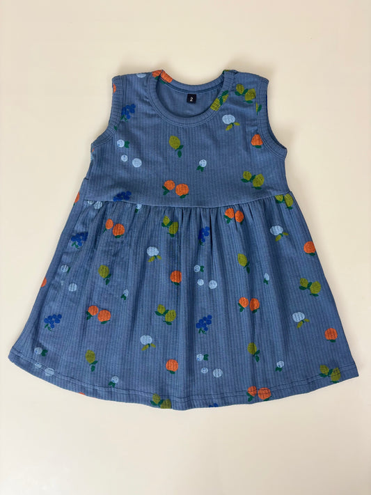 Dark Blue Sleeveless Frocks with Colorfull Frutes Design