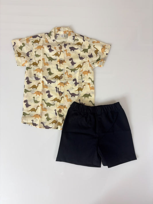 Cute Dinosaur Printed Boys Outdoor Wear Set