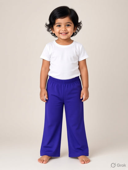Solid Violet Color Palazzo