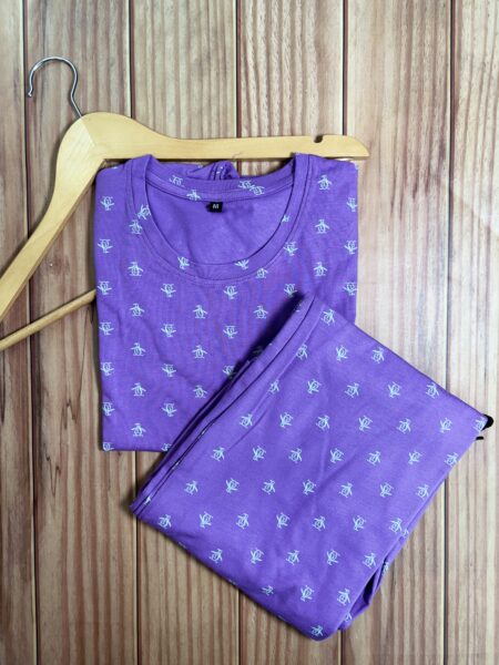 Light Blue  Penguin Printed With Straipes Coords Lounge Set