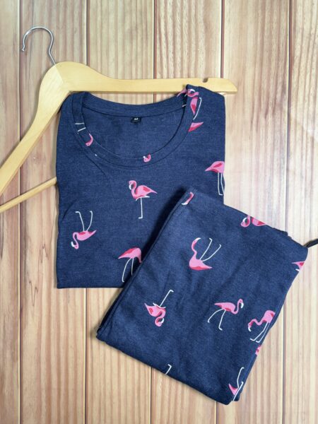 Blue and Pink Sparrow Printed With Straipes Coords Lounge Set