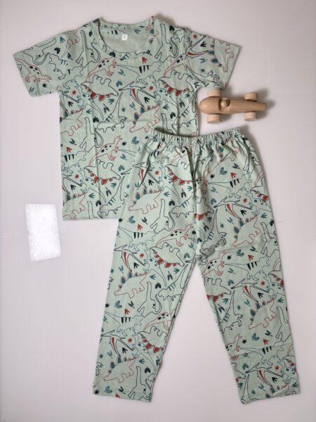 Gray and Animals Arts Printed T-Shirt and Pant Co-ords