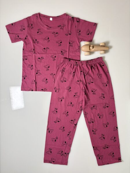 Jam and Toys Art Printed T-Shirt and Pant Co-ords