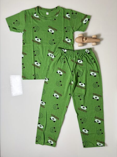 Green and Toy Face Printed T-Shirt and Pant Co-ords