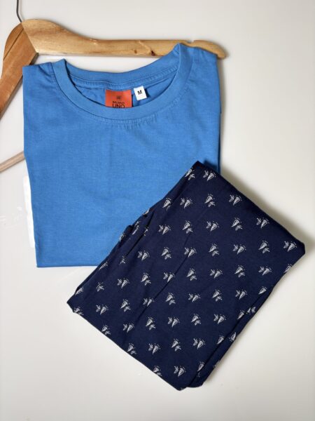 Blue Solid T-shirt with Ethnic Motifs Printed Pant Set