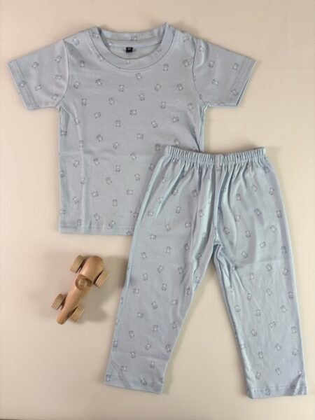 Grey Teddy's Printed Interlock T-Shirt and Pant Co-ords