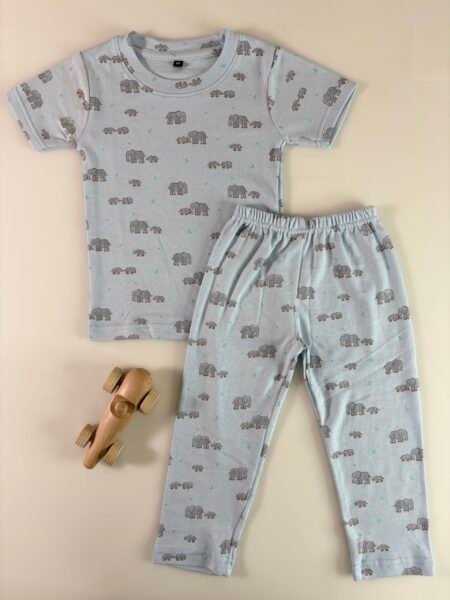 Light Blue Elephants Printed Interlock T-Shirt and Pant Co-ords