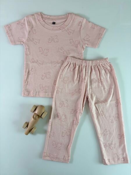 Light Pink Art Style Printed Interlock T-Shirt and Pant Co-ords