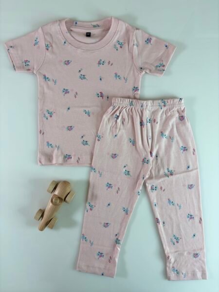 Baby Pink Unique Motifs Printed Interlock T-Shirt and Pant Co-ords