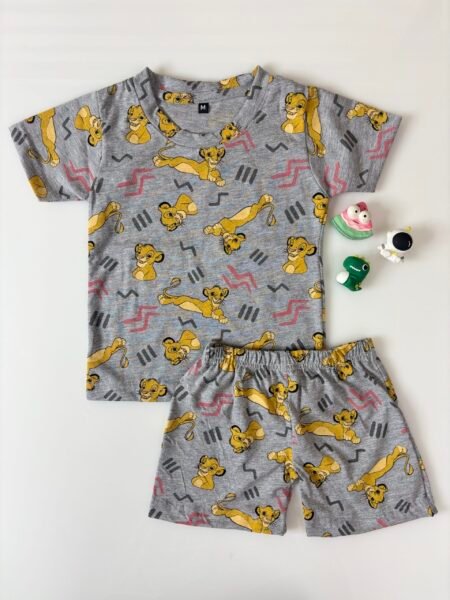 Grey Cartoon Cub's Printed T-Shirts and Shorts Coords