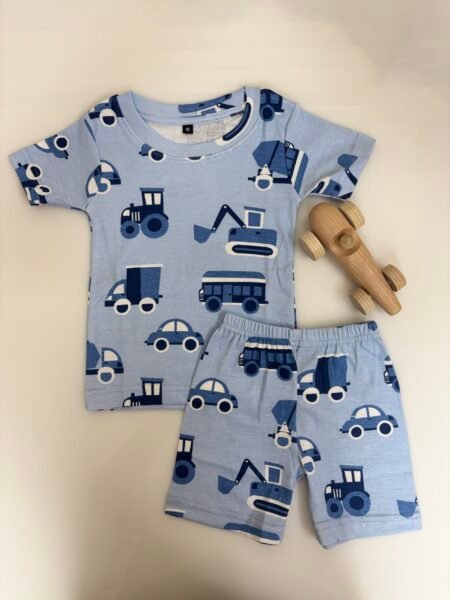 Blue Cars Printed Kids T-shirt and shorts Coords