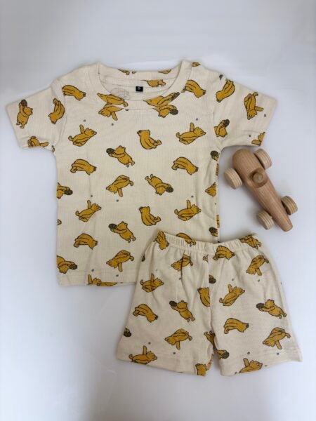 Brown Poo Bear Printed Kids T-shirt and Shorts Coords