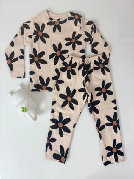 Baby Pink Floral Printed Interlock Full-Sleeve T-Shirt and Pant Co-ords