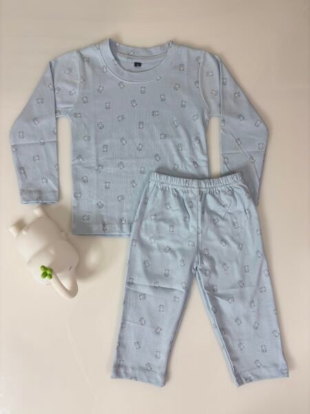 Light Blue Teddy's Printed Interlock Full-Sleeve T-Shirt and Pant Co-ords