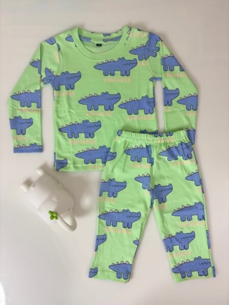 Light Green Dragon's Printed Interlock Full-Sleeve T-Shirt and Pant Co-ords