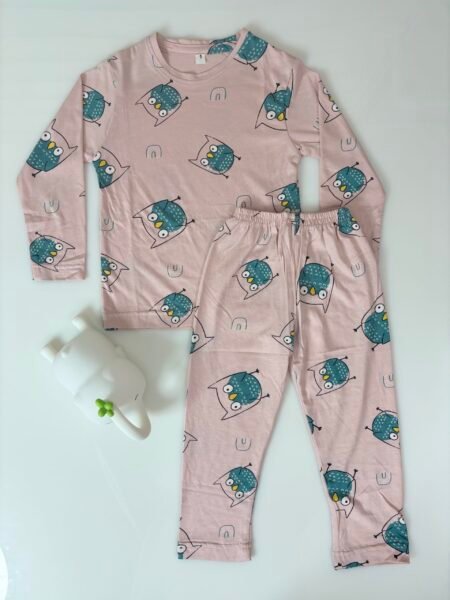 Light Pink Cartoon Birds Printed Interlock Full-Sleeve T-Shirt and Pant Co-ords