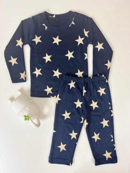 Blue Star's Printed Interlock Full-Sleeve T-Shirt and Pant Co-ords